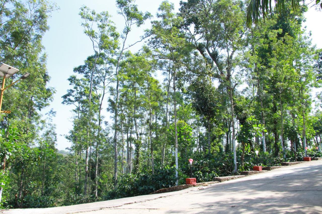 Kingmaker'S Plantation With River Stream Madikeri Dış mekan fotoğraf