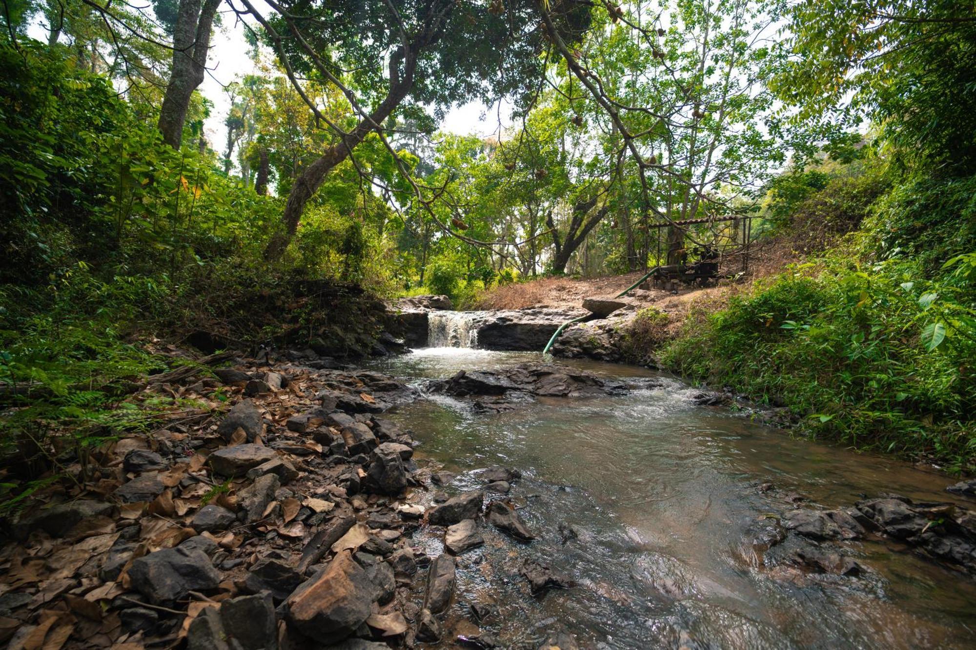 Kingmaker'S Plantation With River Stream Madikeri Dış mekan fotoğraf