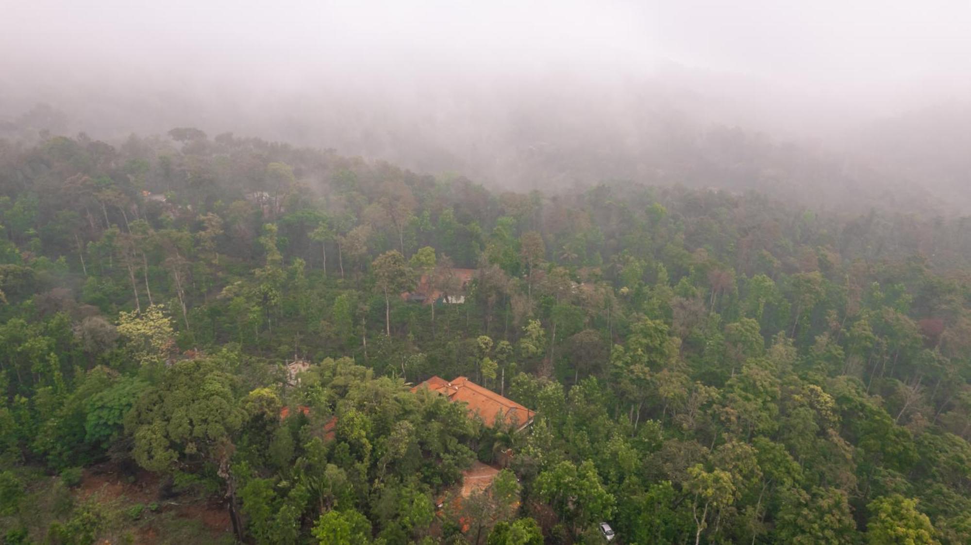 Kingmaker'S Plantation With River Stream Madikeri Dış mekan fotoğraf